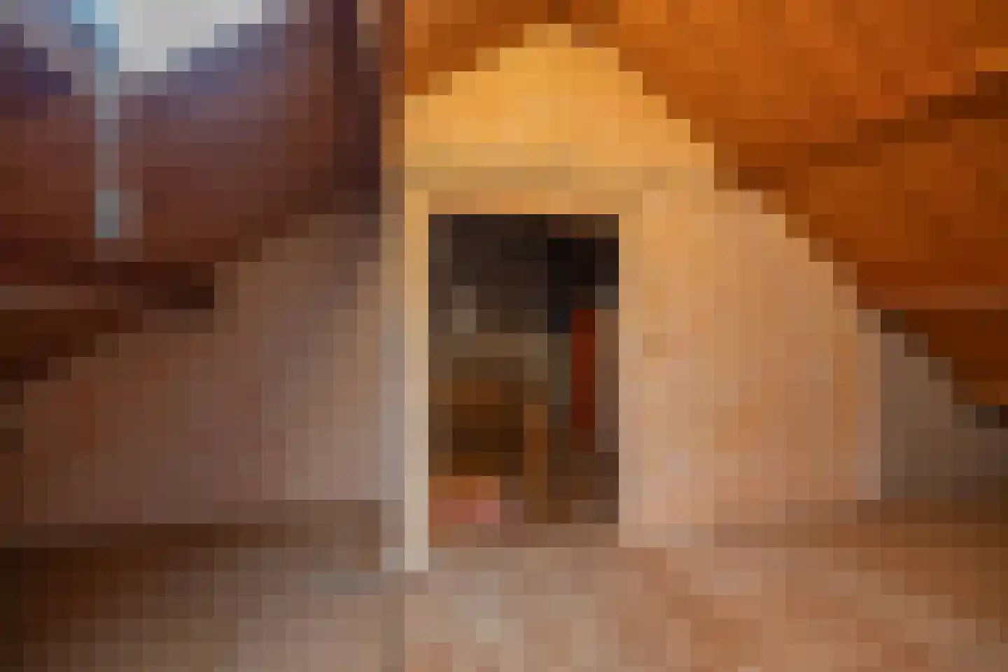 Thorbeckelaan 110 Groningen thumbnail 37