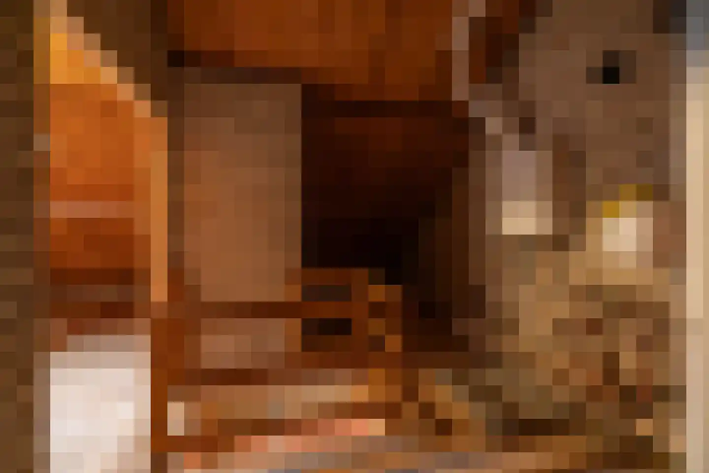 Thorbeckelaan 110 Groningen thumbnail 38