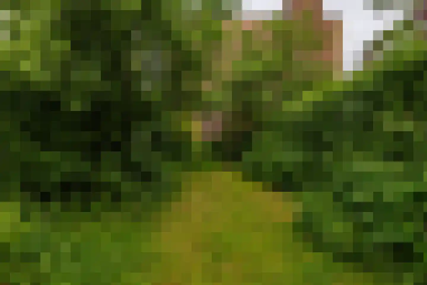 Thorbeckelaan 110 Groningen thumbnail 41