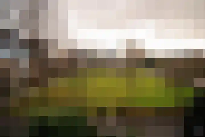 Thorbeckelaan 111 Naarden thumbnail 4