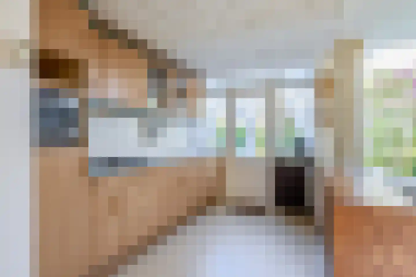 Thorbeckelaan 114 Pijnacker thumbnail 11