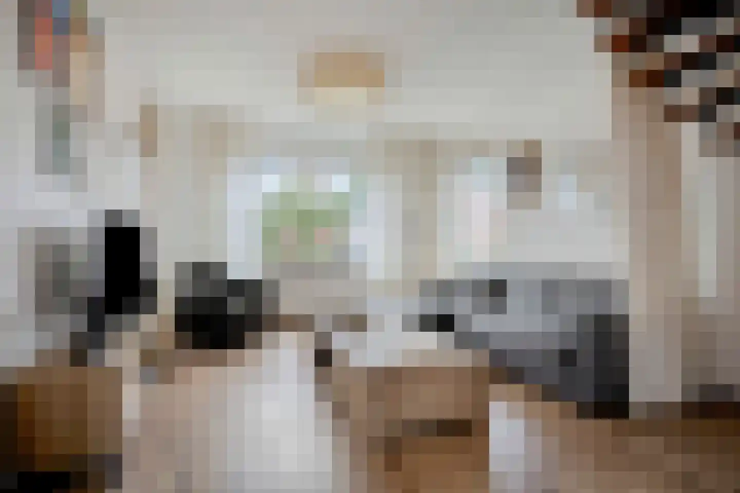 Thorbeckelaan 116 Oude Pekela thumbnail 11