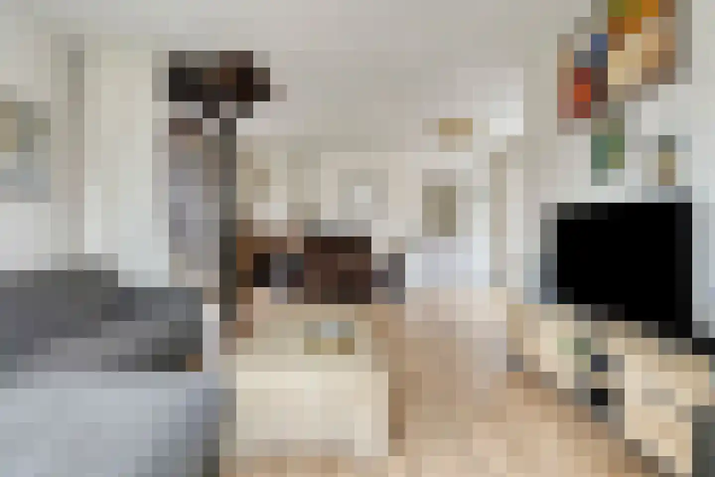 Thorbeckelaan 116 Oude Pekela thumbnail 14