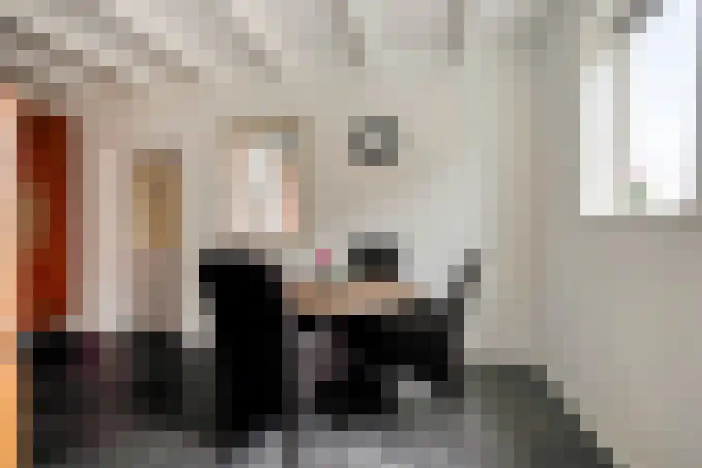 Thorbeckelaan 116 Oude Pekela thumbnail 16