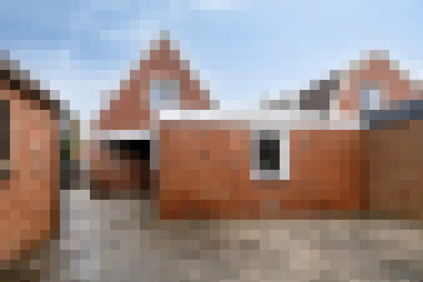 Thorbeckelaan 116 Oude Pekela thumbnail 41