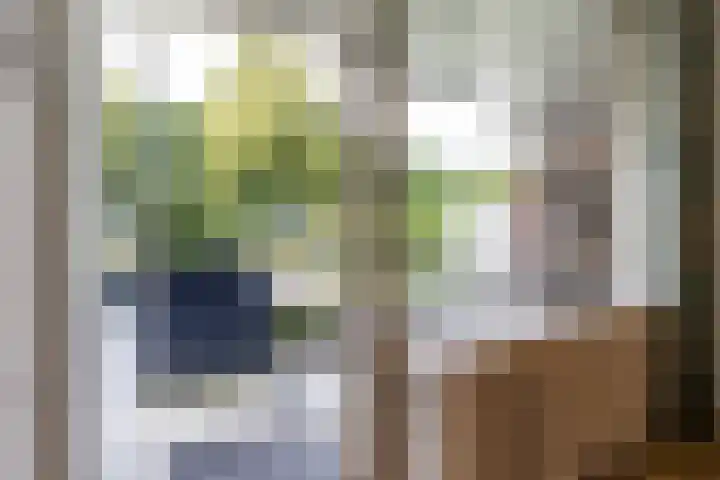 Thorbeckelaan 118 Groningen thumbnail 17