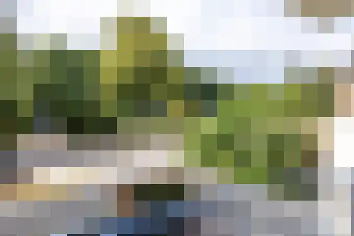 Thorbeckelaan 118 Groningen thumbnail 20