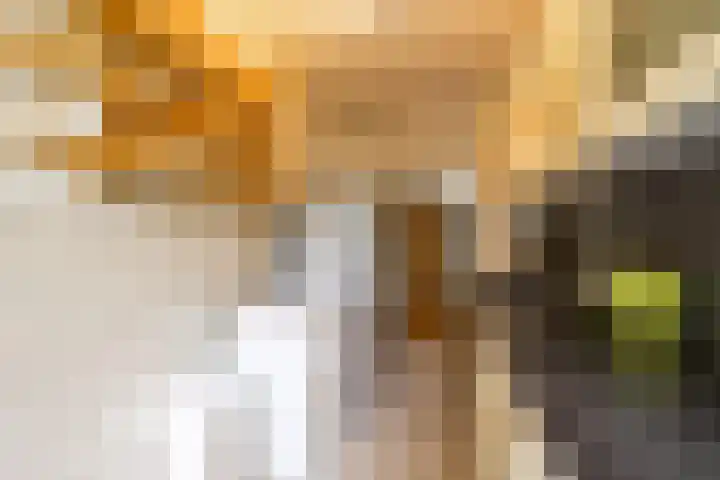 Thorbeckelaan 118 Groningen thumbnail 22