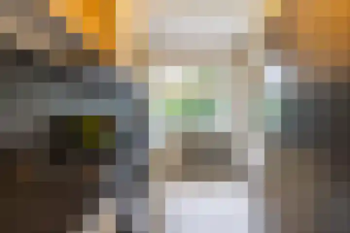Thorbeckelaan 118 Groningen thumbnail 23