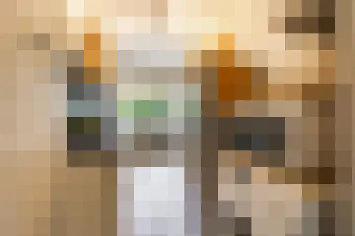 Thorbeckelaan 118 Groningen thumbnail 24