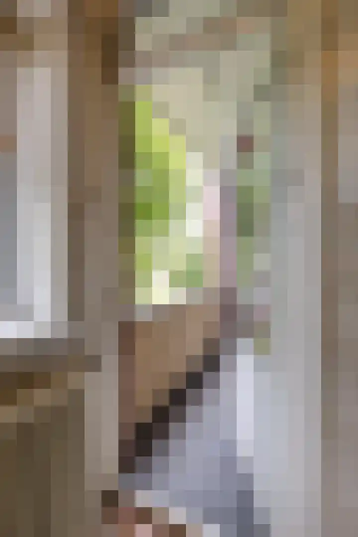 Thorbeckelaan 118 Groningen thumbnail 25