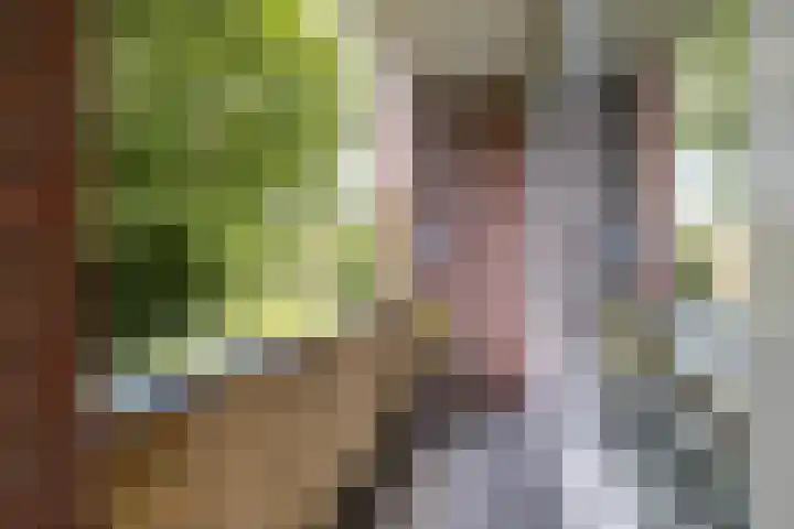 Thorbeckelaan 118 Groningen thumbnail 26