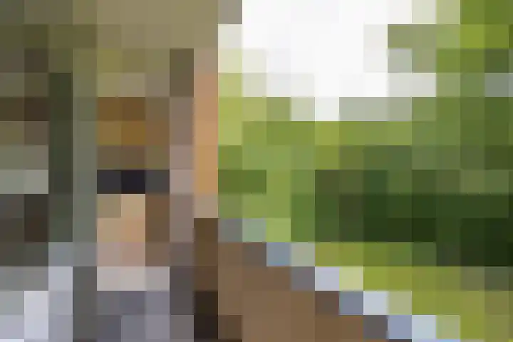 Thorbeckelaan 118 Groningen thumbnail 27