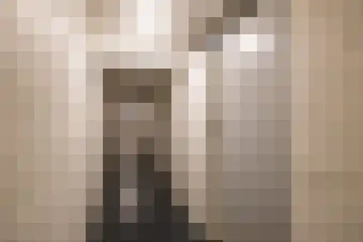 Thorbeckelaan 118 Groningen thumbnail 34