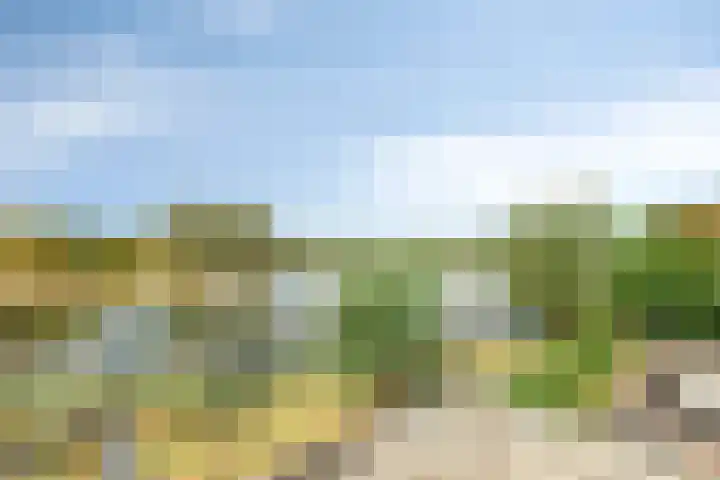 Thorbeckelaan 118 Roosendaal thumbnail 47