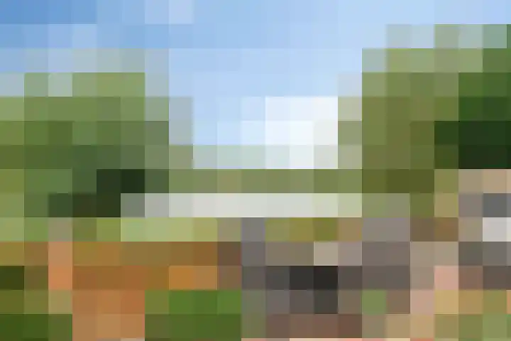 Thorbeckelaan 118 Roosendaal thumbnail 48