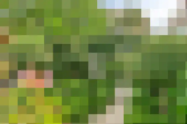 Thorbeckelaan 118 Roosendaal thumbnail 58