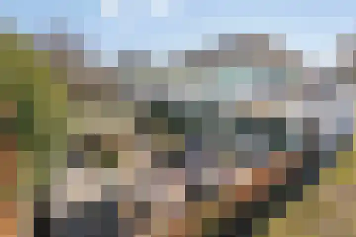Thorbeckelaan 118 Roosendaal thumbnail 59