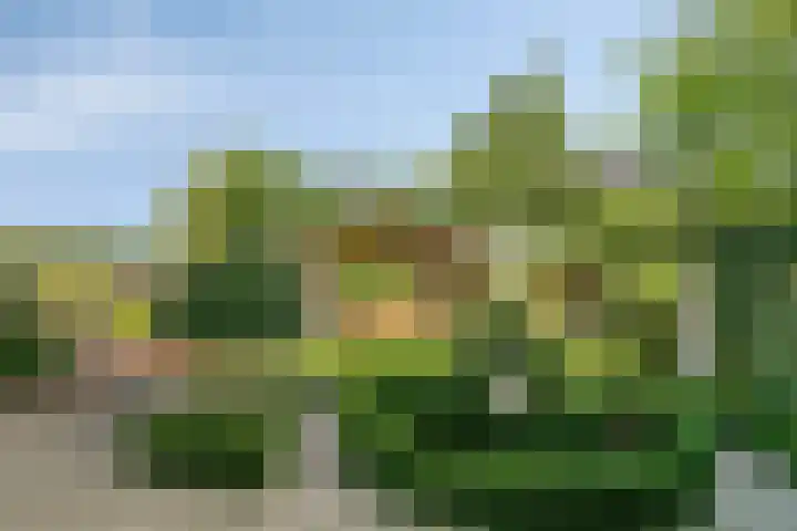 Thorbeckelaan 118 Roosendaal thumbnail 63