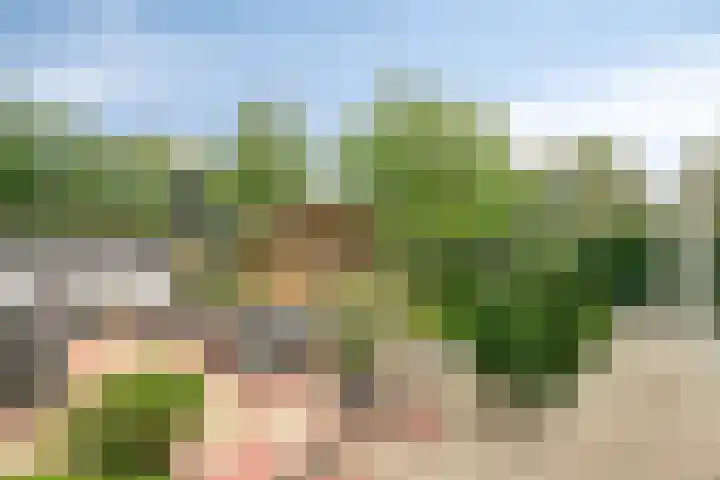 Thorbeckelaan 118 Roosendaal thumbnail 64