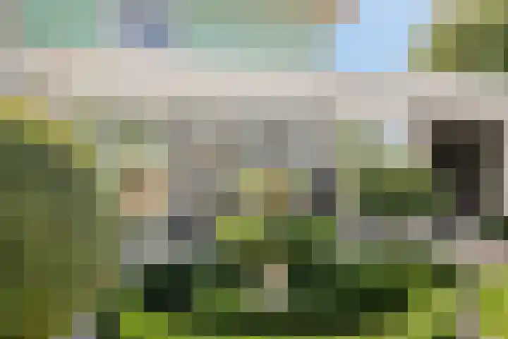 Thorbeckelaan 118 Roosendaal thumbnail 69
