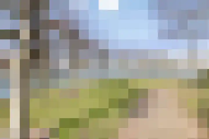 Thorbeckelaan 118 Roosendaal thumbnail 72
