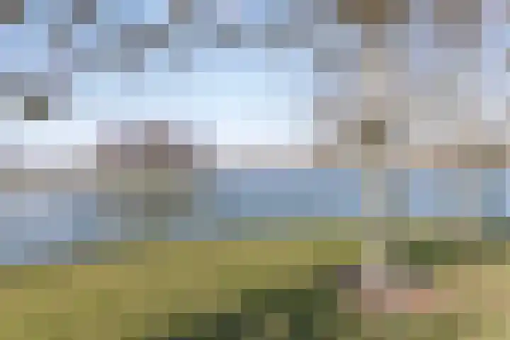 Thorbeckelaan 118 Roosendaal thumbnail 73