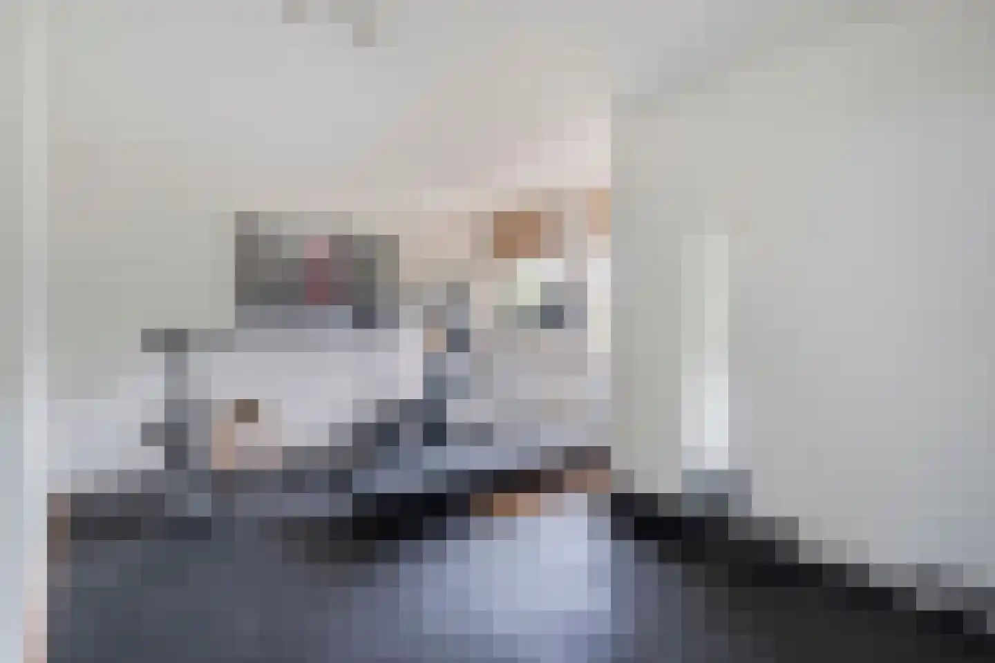 Thorbeckelaan 12 Etten-Leur thumbnail 25
