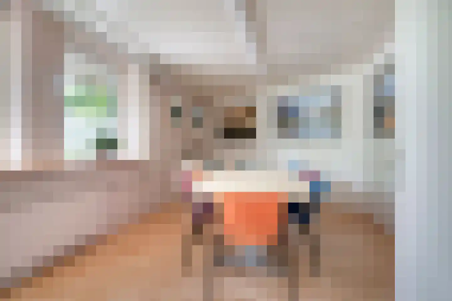 Thorbeckelaan 12 Etten-Leur thumbnail 33