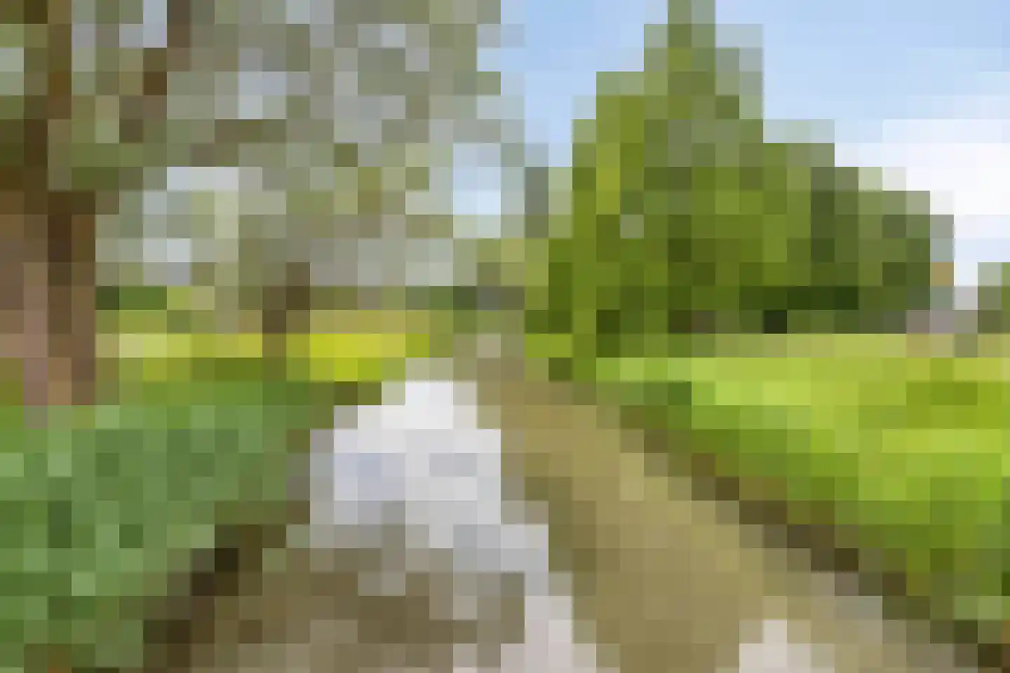 Thorbeckelaan 12 Etten-Leur thumbnail 47