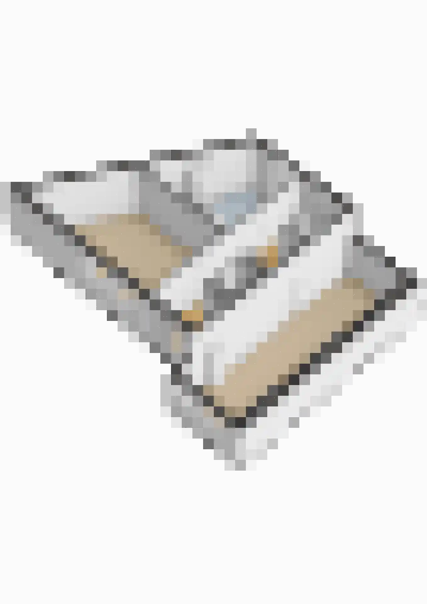 Thorbeckelaan 12 Etten-Leur thumbnail 57