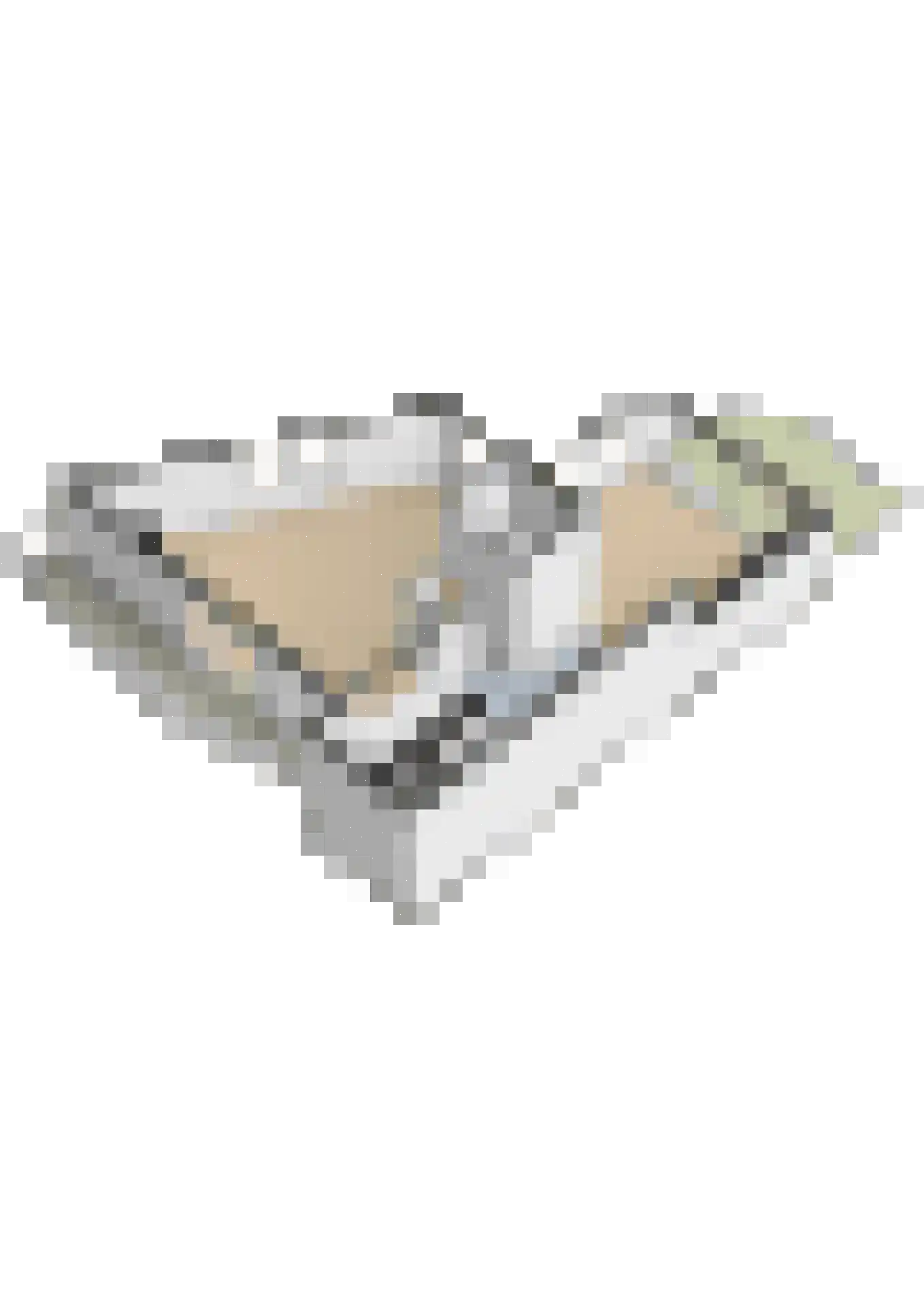 Thorbeckelaan 12 Etten-Leur thumbnail 59
