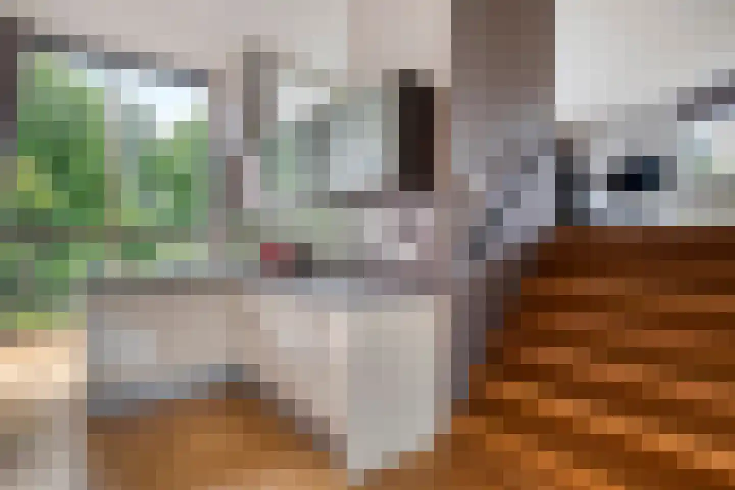 Thorbeckelaan 12 Etten-Leur thumbnail 8
