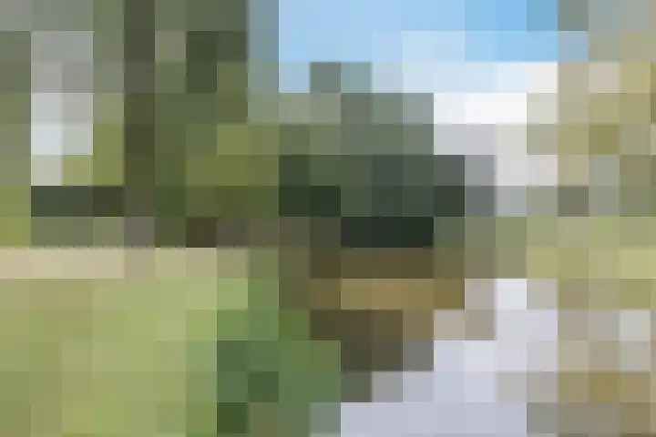 Thorbeckelaan 120 Amstelveen thumbnail 36