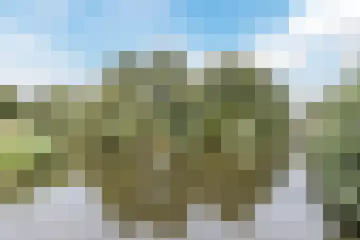 Thorbeckelaan 120 Amstelveen thumbnail 37