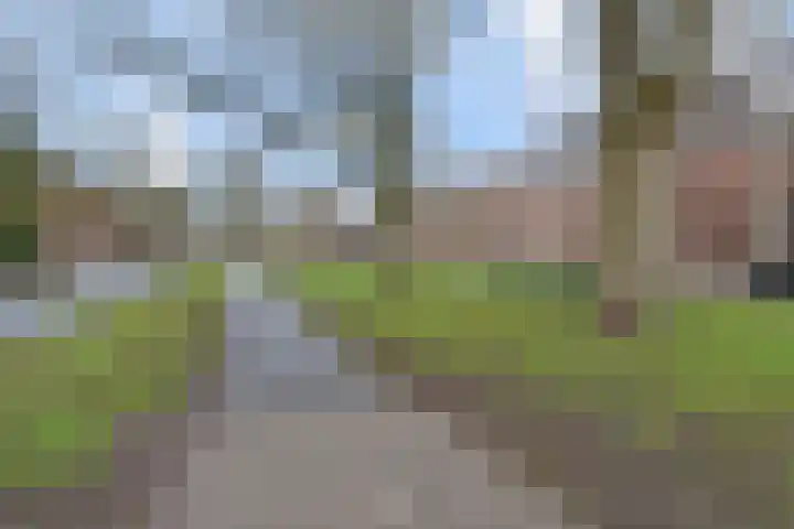 Thorbeckelaan 121 Den Haag thumbnail 45