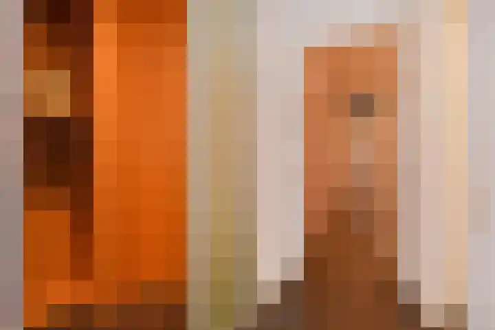 Thorbeckelaan 121 Den Haag thumbnail 5