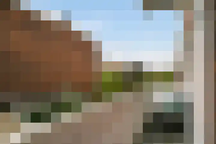 Thorbeckelaan 123 Den Haag thumbnail 14