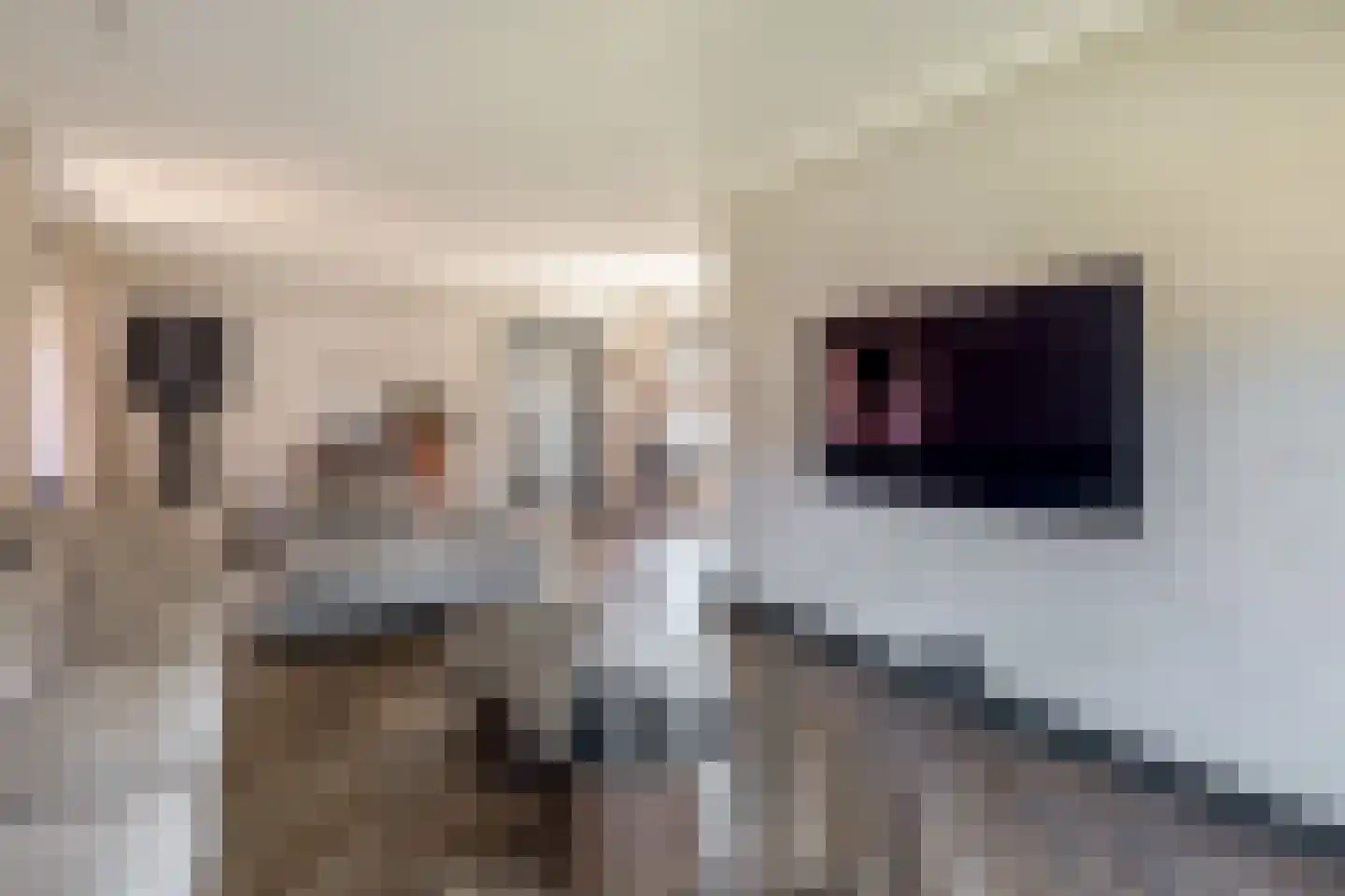 Thorbeckelaan 126 Oude Pekela thumbnail 12