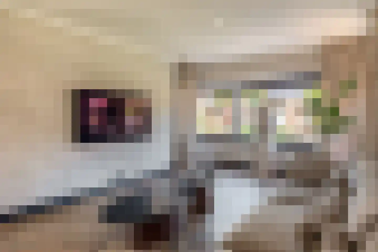 Thorbeckelaan 126 Oude Pekela thumbnail 18