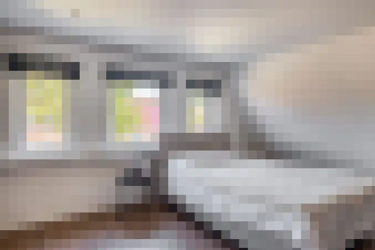 Thorbeckelaan 126 Oude Pekela thumbnail 35