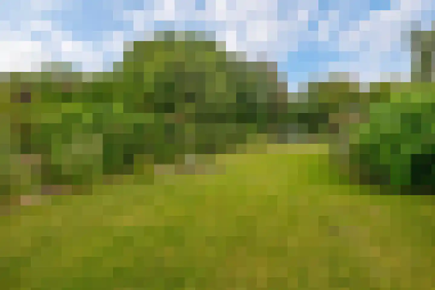 Thorbeckelaan 126 Oude Pekela thumbnail 51