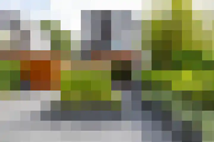 Thorbeckelaan 127 Pijnacker thumbnail 5