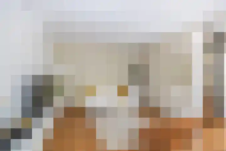 Thorbeckelaan 128 Groningen thumbnail 11