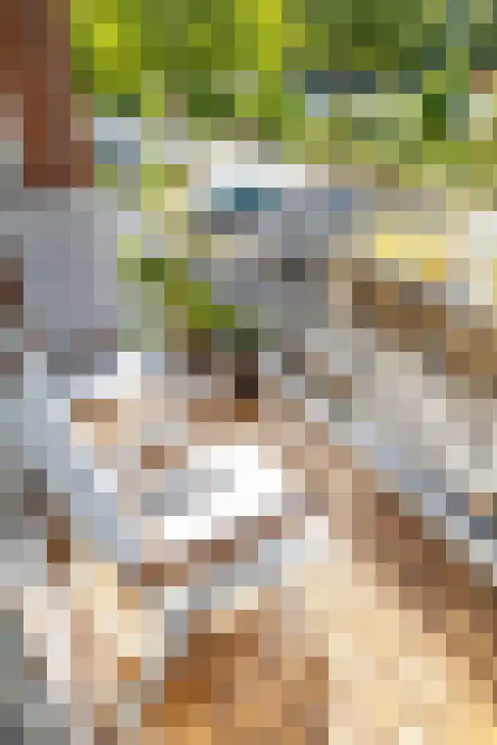 Thorbeckelaan 128 Groningen thumbnail 17