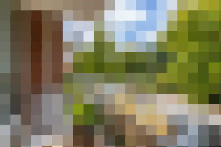 Thorbeckelaan 128 Groningen thumbnail 19