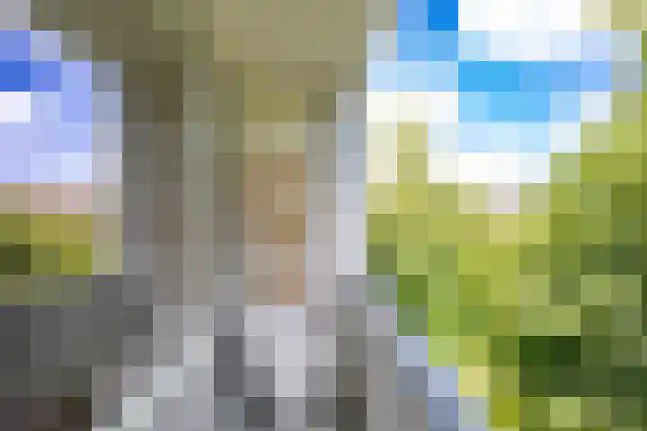 Thorbeckelaan 128 Groningen thumbnail 24