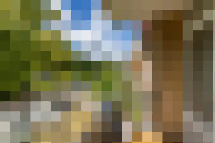 Thorbeckelaan 128 Groningen thumbnail 4