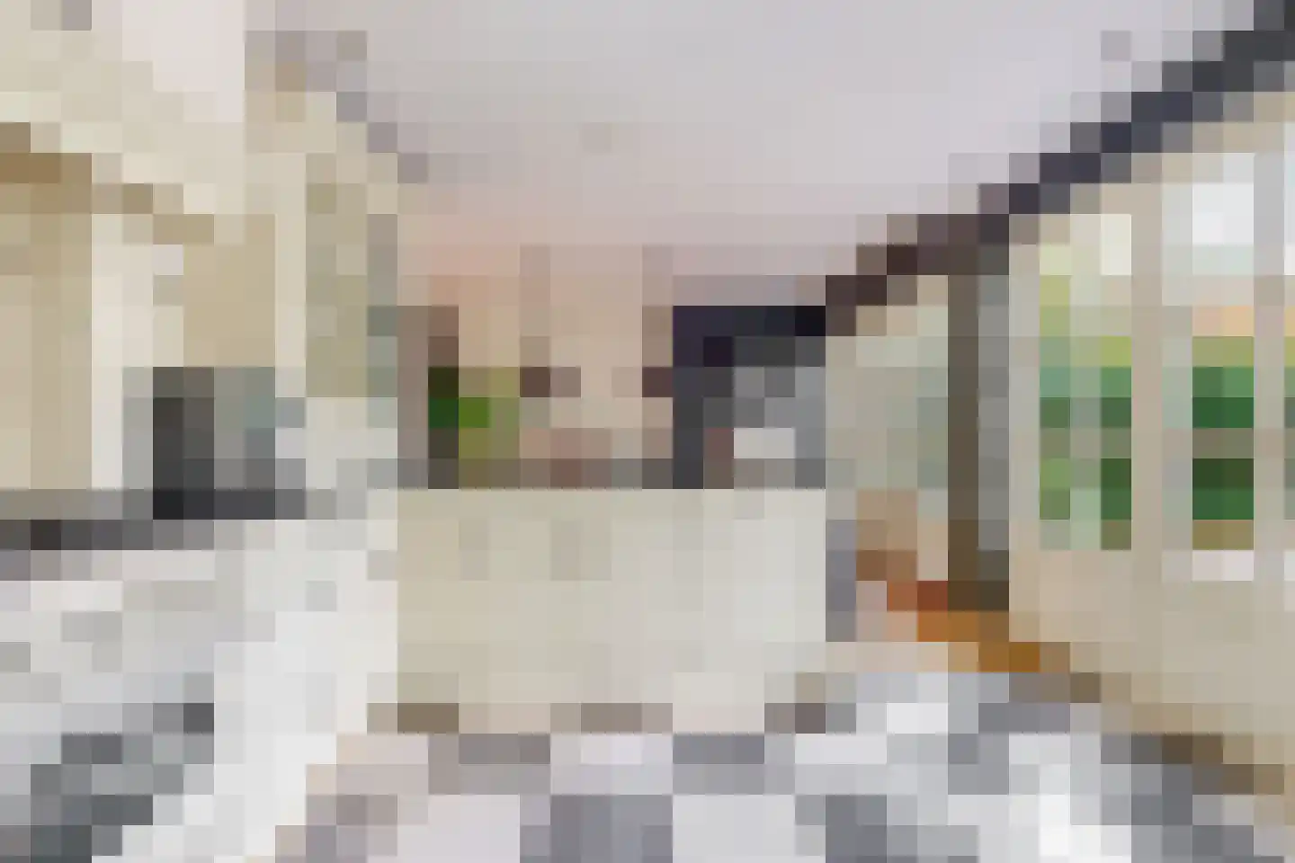Thorbeckelaan 14 Velsen-Zuid thumbnail 17