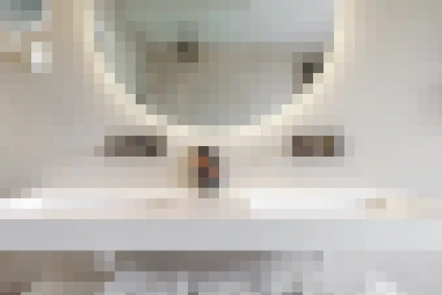 Thorbeckelaan 14 Velsen-Zuid thumbnail 27